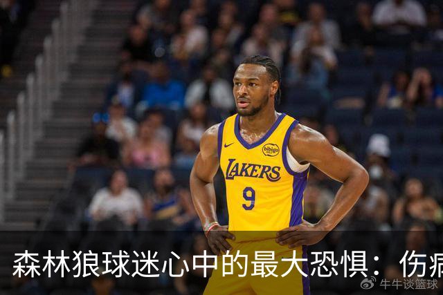森林狼球迷心中的最大恐惧：伤病与不确定性